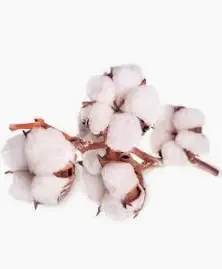 Lessive - Fleur de coton 1L