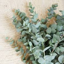 ​Lessive - Eucalyptus 1 L